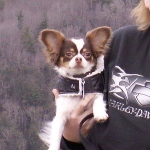 Meet your Posher, Dana